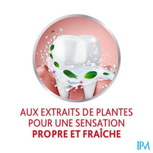 Charger l'image dans la galerie, Parodontax Dentifrice Herbal Ginger Tube 75ml
