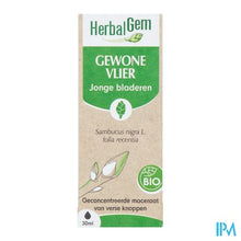 Load image into Gallery viewer, Herbalgem Vlier Bio 30ml
