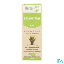 Charger l'image dans la galerie, Herbalgem Braamstruik Maceraat 50ml
