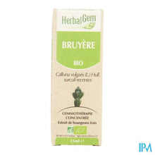 Charger l'image dans la galerie, Herbalgem Struikhei Unitair Moedermaceraat 15ml
