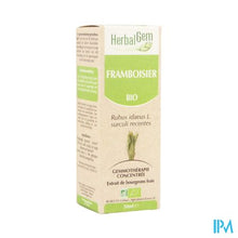 Charger l'image dans la galerie, Herbalgem Frambozen Maceraat 50ml
