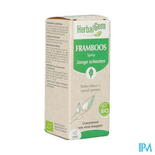 Charger l'image dans la galerie, Herbalgem Frambozenstruik Bio Spray 15ml
