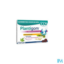 Load image into Gallery viewer, Plantigom Gummies 24 Nf
