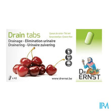 Afbeelding in Gallery-weergave laden, Dr Ernst Drain tabs 42 Tabl

