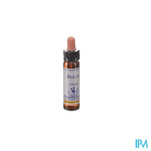 Afbeelding in Gallery-weergave laden, Healing Herbs Beech 10ml
