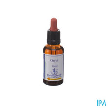 Afbeelding in Gallery-weergave laden, Healing Herbs Olive 30ml

