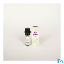 Afbeelding in Gallery-weergave laden, Sjankara Eucalyptus Smithii Ess. Olie Bio 11ml
