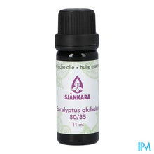 Load image into Gallery viewer, Sjankara Eucalyptus Glob. 80/85 Ess. Olie Bio 11ml
