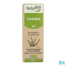 Charger l'image dans la galerie, Herbalgem Tamarisk Maceraat 50ml
