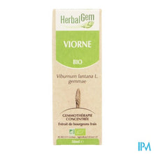 Charger l'image dans la galerie, Herbalgem Wollige Sneeuwbal Maceraat 50ml
