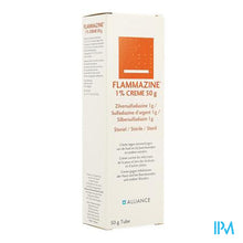 Load image into Gallery viewer, Flammazine 1% Creme 1 X 50g
