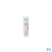 Load image into Gallery viewer, Kalium Phosphoricum 5ch Gr 4g Boiron
