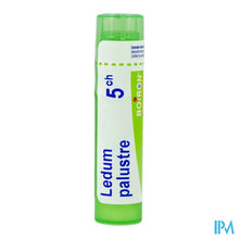 Afbeelding in Gallery-weergave laden, Ledum Palustre 5ch Gr 4g Boiron

