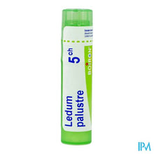 Load image into Gallery viewer, Ledum Palustre 5ch Gr 4g Boiron
