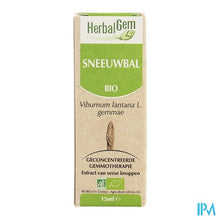 Charger l'image dans la galerie, Herbalgem Wollige Sneeuwbal Maceraat 15ml
