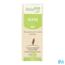 Charger l'image dans la galerie, Herbalgem Els Maceraat 15ml

