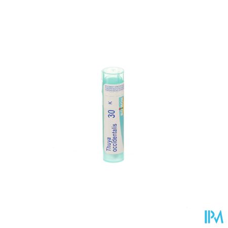 Thuya Occidentalis 30k Gr 4g Boiron