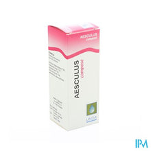 Load image into Gallery viewer, Aesculus Compos Gutt 20ml Boiron
