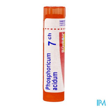 Load image into Gallery viewer, Phosphoricum Acidum 7ch Gr 4g Boiron
