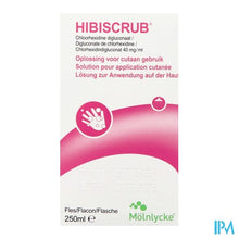 Load image into Gallery viewer, Hibiscrub Zeep Antisept. 250ml
