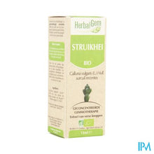 Charger l'image dans la galerie, Herbalgem Struikhei Unitair Moedermaceraat 15ml
