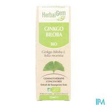 Charger l'image dans la galerie, Herbalgem Ginkgo Biloba Maceraat 15ml
