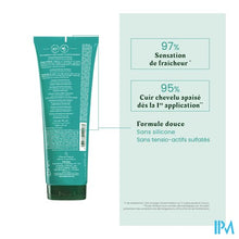 Load image into Gallery viewer, Furterer Astera Fresh Shampooing 250ml Promo
