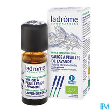 Charger l'image dans la galerie, Ladrome Lavendelsalie 10ml
