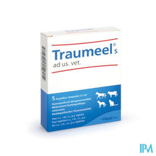 Charger l'image dans la galerie, Traumeel S Ad Us.vet Amp 5x5,0ml
