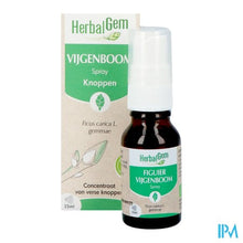 Afbeelding in Gallery-weergave laden, Herbalgem Vijgenboom Bio Spray 15ml
