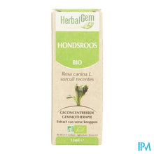 Charger l'image dans la galerie, Herbalgem Hondsroos Maceraat 15ml
