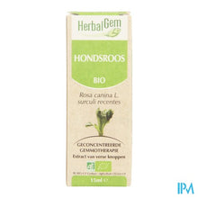 Charger l'image dans la galerie, Herbalgem Hondsroos Maceraat 15ml
