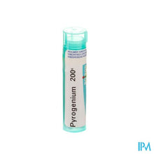 Load image into Gallery viewer, Pyrogenium 200k Gr 4g Boiron
