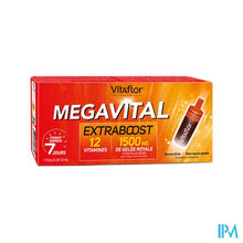 Load image into Gallery viewer, Vitaflor Megavital Extraboost Amp 7x10ml
