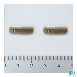 Arkocaps Ginkgo Biloba Plantaardig 150 Cfr 3733110