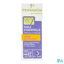 Afbeelding in Gallery-weergave laden, Pranarom Eo Groenlandse Moeraspalm 5ml
