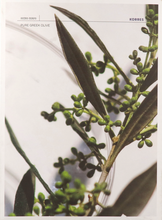 Afbeelding in Gallery-weergave laden, Korres Ks Greek Olive Bodycr120ml+dche250ml+75ml
