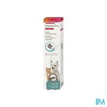 Afbeelding in Gallery-weergave laden, Beaphar Intesto Pro Pasta Hond-kat >15kg 20ml
