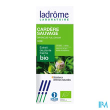 Charger l'image dans la galerie, Ladrome Dipsacus Fullonum Wortel/gr.kaardebol 50ml
