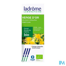 Charger l'image dans la galerie, Ladrome Solidago Virgaurea/echte Guldenroede 50ml
