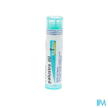 Load image into Gallery viewer, Ledum Palustre 200k Gr 4g Boiron
