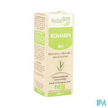 Charger l'image dans la galerie, Herbalgem Rozemarijn Maceraat 15ml
