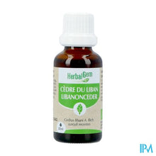 Afbeelding in Gallery-weergave laden, Herbalgem Ceder Bio 30ml

