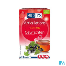 Afbeelding in Gallery-weergave laden, Biolys Aalbes Sach 24
