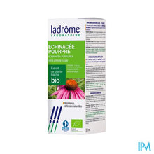 Charger l'image dans la galerie, Ladrome Echinacea Purpurea/rode Zonnehoed 50ml
