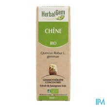 Charger l'image dans la galerie, Herbalgem Eik Maceraat 50ml
