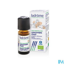 Afbeelding in Gallery-weergave laden, Ladrome Zingiber Officinalis/gember 10ml
