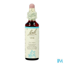 Afbeelding in Gallery-weergave laden, Bach Flower Remedie 32 Vine 20ml

