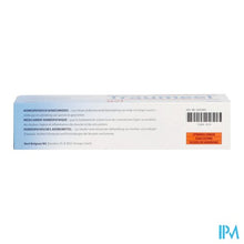 Afbeelding in Gallery-weergave laden, Traumeel Gel 100g Heel
