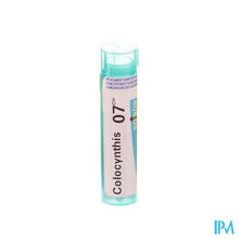 Load image into Gallery viewer, Colocynthis 7ch Gr 4g Boiron
